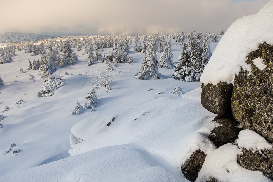  Karkonosze Nikon D7200 AF-S Zoom-Nikkor 17-55mm f/2.8G IF-ED śnieg zimowy górzyste formy terenu zamrażanie drzewo niebo Góra mróz zjawisko geologiczne jodła