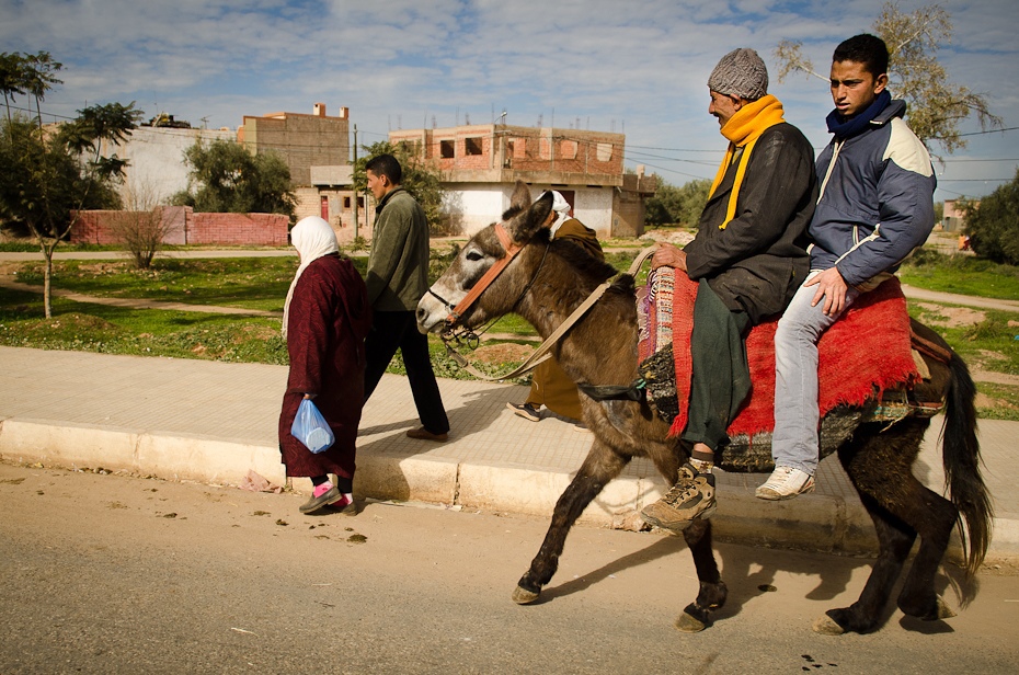  Jazda ośle Maroko Nikon D7000 AF-S Zoom-Nikkor 17-55mm f/2.8G IF-ED Budapeszt Bamako 0 kręgowiec koń jak ssak koń osioł juczne zwierzę drzewo żywy inwentarz turystyka podróżować zabawa