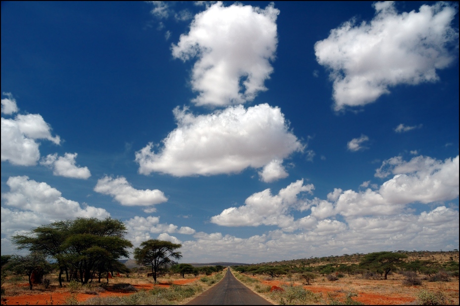  Etiopska autostrada Krajobraz Nikon D70 AF-S Zoom-Nikkor 18-70mm f/3.5-4.5G IF-ED Etiopia 0 niebo Chmura Droga cumulus horyzont pole dzień ekosystem łąka drzewo