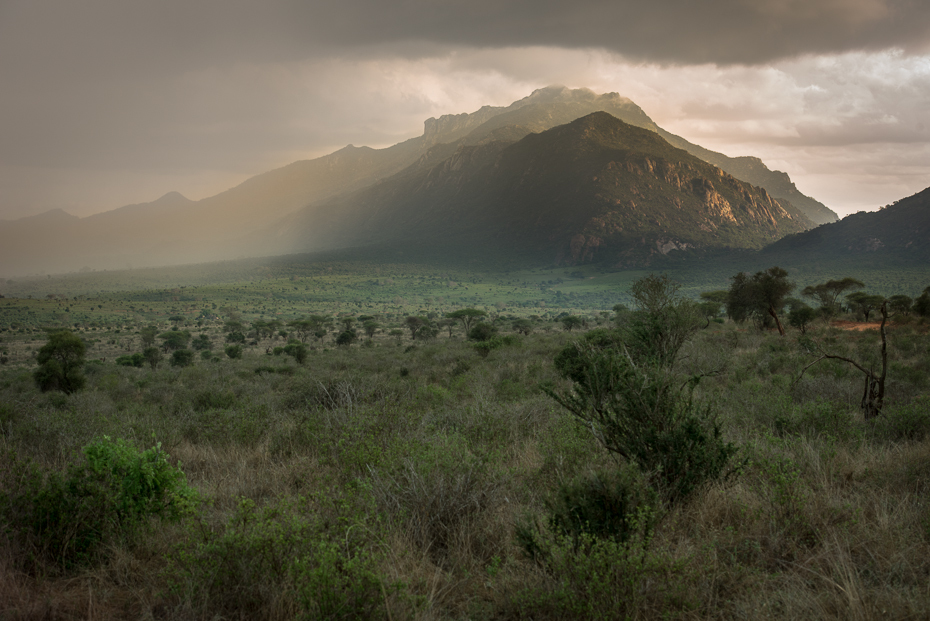 Tsavo West Krajobraz nikon d750 Nikon AF-S Nikkor 70-200mm f/2.8G Kenia 0 niebo górzyste formy terenu ekosystem średniogórze pustynia Góra wzgórze łąka trawa sawanna