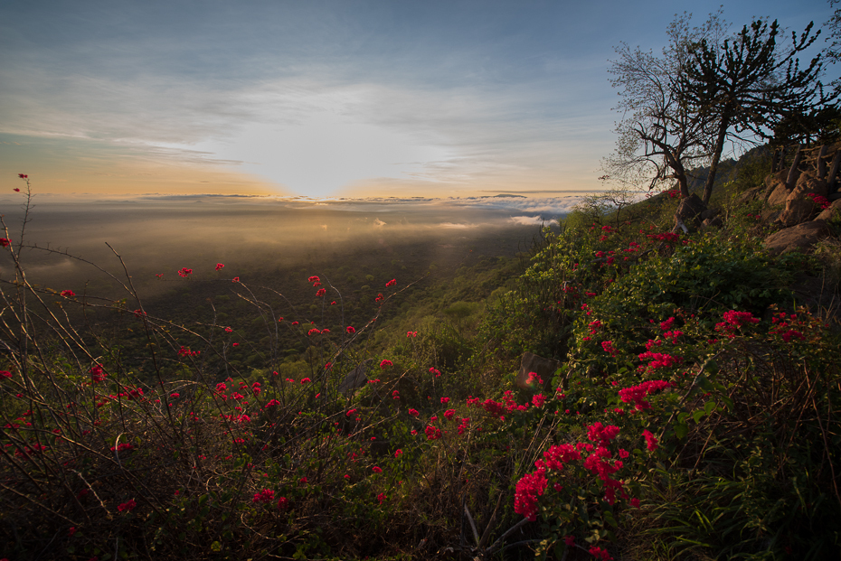  Tsavo West Krajobraz nikon d750 Nikon AF-S Nikkor 14-24mm f/2.8G Kenia 0 Natura niebo liść wegetacja ranek dziki kwiat świt drzewo wzgórze Góra