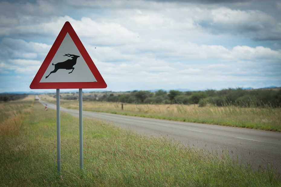  Uwaga antylopy Krajobraz Nikon D7100 AF-S Nikkor 70-200mm f/2.8G Namibia 0 Droga niebo znak drogowy infrastruktura Chmura znak oznakowanie preria łąka pole