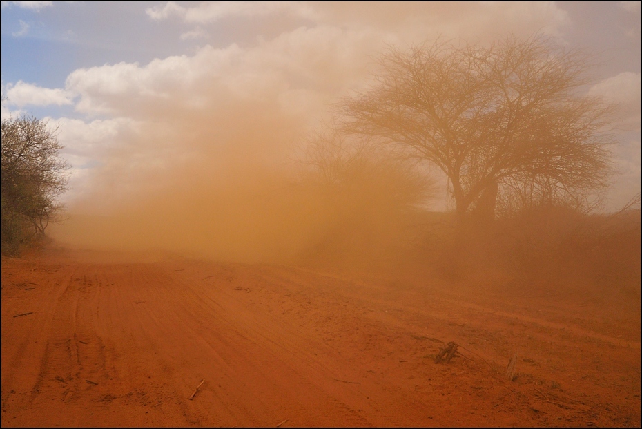  Kurz Nikon D300 Sigma 10-20mm f/4-5.6 HSM Etiopia 0 niebo ranek mgła zamglenie atmosfera ecoregion drzewo atmosfera ziemi Chmura światło słoneczne