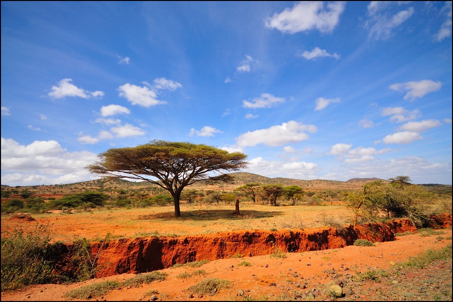  Etiopia Krajobraz Nikon D300 Sigma 10-20mm f/4-5.6 HSM 0 niebo łąka sawanna ekosystem wegetacja krzewy pustynia Chmura Równina rezerwat przyrody