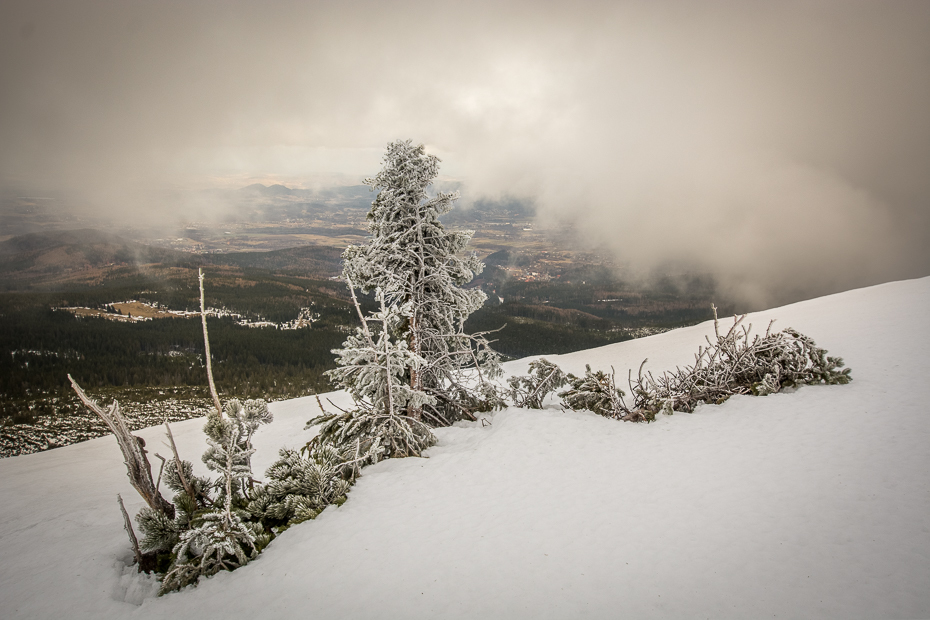  Karkonosze Nikon D7100 Sigma 10-20mm f/3.5 HSM śnieg zimowy niebo drzewo zamrażanie górzyste formy terenu roślina drzewiasta Chmura mróz Góra