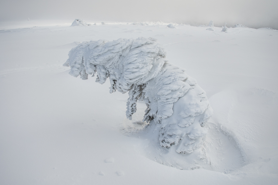  Karkonosze Nikon D7200 AF-S Zoom-Nikkor 17-55mm f/2.8G IF-ED śnieg zamrażanie zimowy arktyczny mróz zjawisko geologiczne pokrywa lodowa polarna czapa lodowa lodowaty kształt terenu nunatak