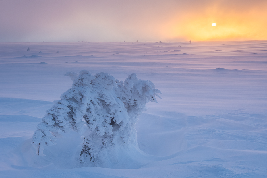  Karkonosze Nikon D7200 AF-S Zoom-Nikkor 17-55mm f/2.8G IF-ED zamrażanie niebo zimowy arktyczny śnieg atmosfera lód ranek zjawisko geologiczne Ocean Arktyczny