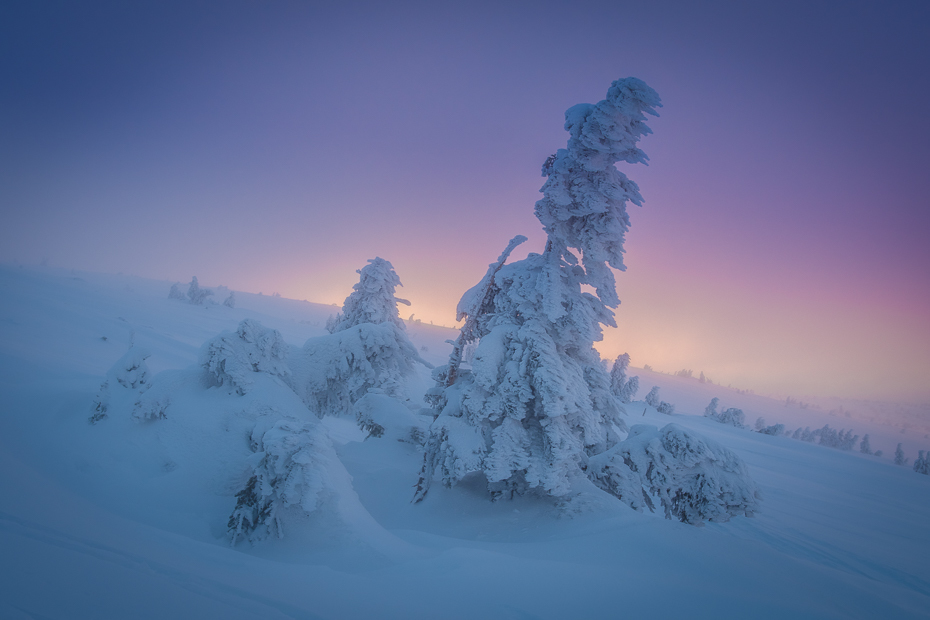 Karkonosze Nikon D7200 AF-S Zoom-Nikkor 17-55mm f/2.8G IF-ED zimowy niebo śnieg górzyste formy terenu zamrażanie drzewo pasmo górskie Góra mróz zjawisko geologiczne
