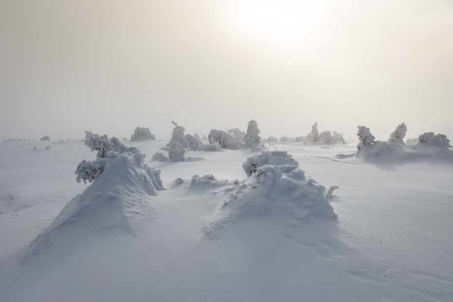  Karkonosze Nikon D7200 AF-S Zoom-Nikkor 17-55mm f/2.8G IF-ED śnieg zimowy zamrażanie niebo arktyczny mgła ranek atmosfera mróz drzewo