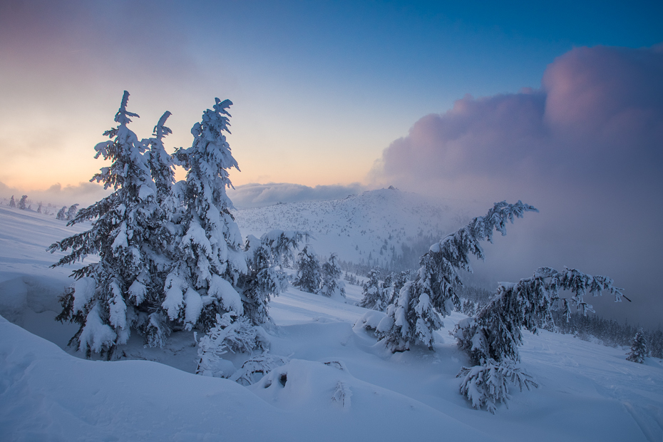  Karkonosze Nikon D7200 AF-S Zoom-Nikkor 17-55mm f/2.8G IF-ED zimowy śnieg niebo górzyste formy terenu Natura zamrażanie pasmo górskie Góra drzewo mróz