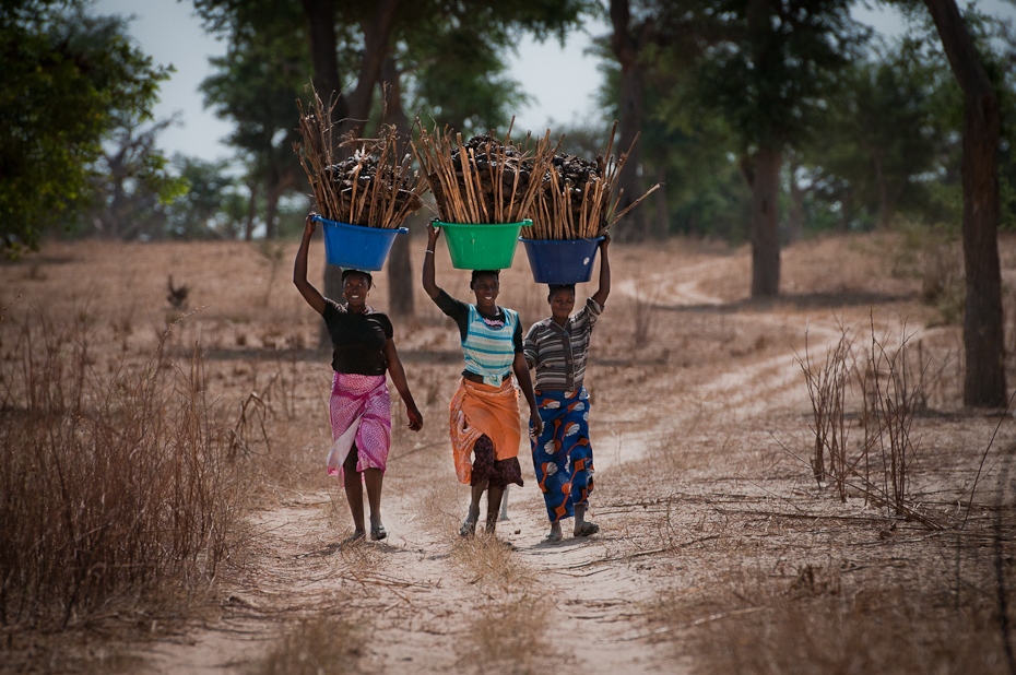  Kobiety koszami Senegal Nikon D300 AF-S Nikkor 70-200mm f/2.8G Budapeszt Bamako 0 drzewo zabawa roślina ścieżka woda dziewczyna piasek wakacje rodzina traw wolny czas
