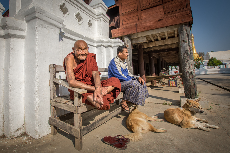  Shwe Yan Pyay Jezioro Inle Nikon D7100 Sigma 10-20mm f/3.5 HSM 0 Myanmar ssak pies świątynia ulica rekreacja turystyka pies jak ssak wakacje