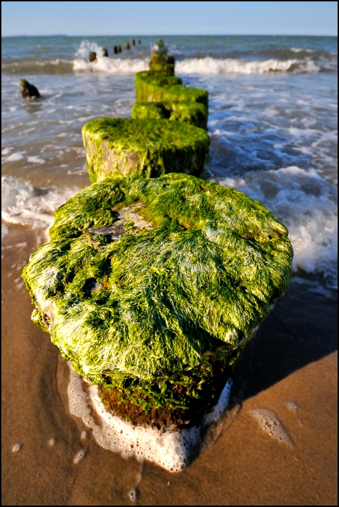  Falochron Krajobraz Nikon D300 Sigma 10-20mm f/4-5.6 HSM woda skała morze Wybrzeże niebo trawa wodorost krajobraz glony