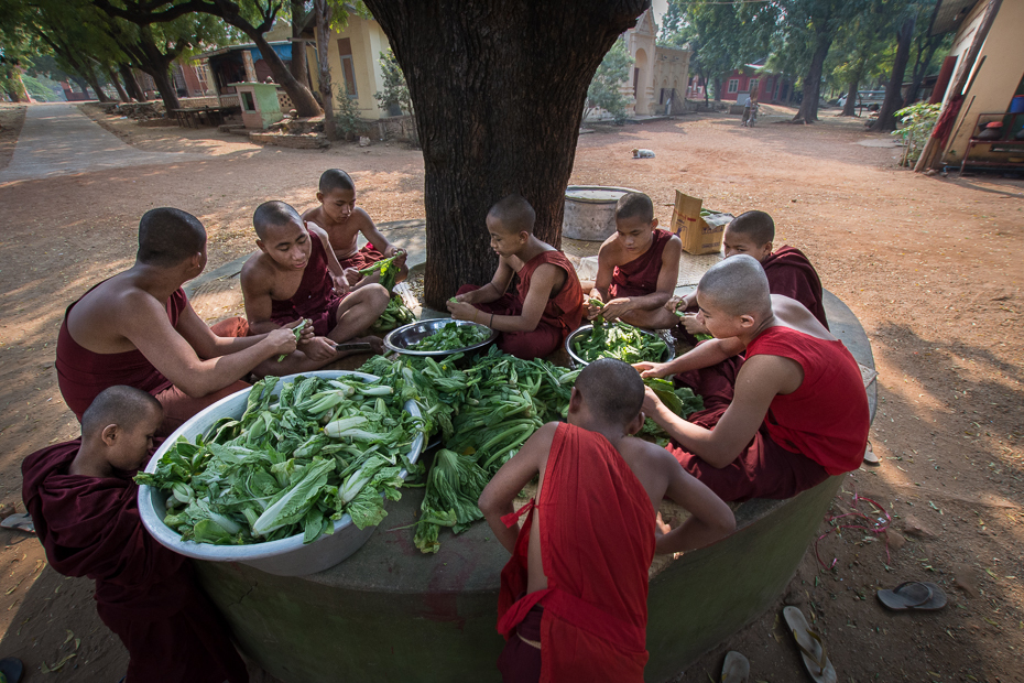  Przygotowanie śniadania Ludzie Nikon D7200 Sigma 10-20mm f/3.5 HSM 0 Myanmar miejsce publiczne roślina danie jedzenie drzewo kuchnia jako sposób gotowania rekreacja lunch produkować wakacje