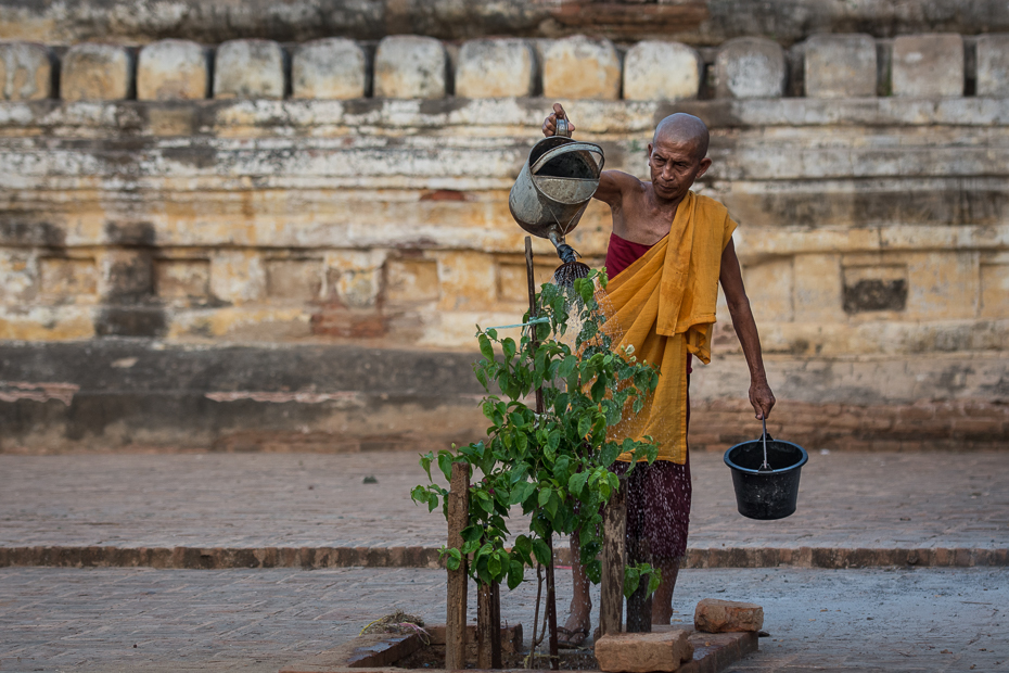  Mnich Ludzie Nikon D7100 AF-S Nikkor 70-200mm f/2.8G 0 Myanmar woda świątynia turystyka drzewo