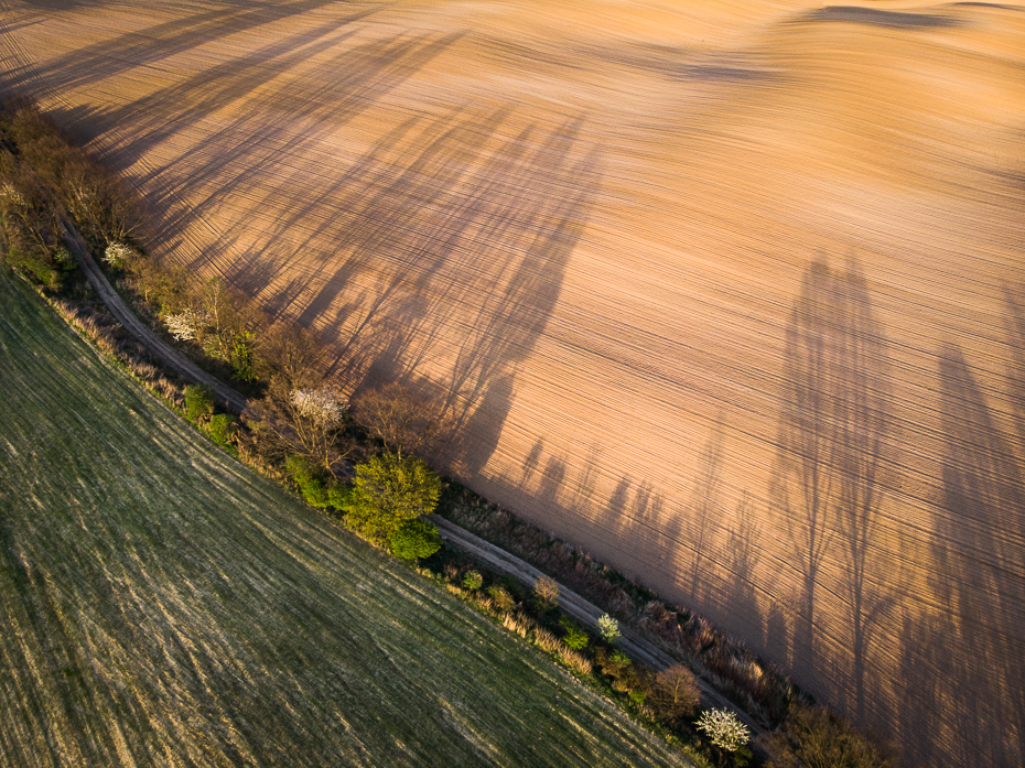 Pola Krajobraz Mavic Air pole niebo ranek światło słoneczne drzewo Fotografia lotnicza trawa obszar wiejski drewno wzgórze