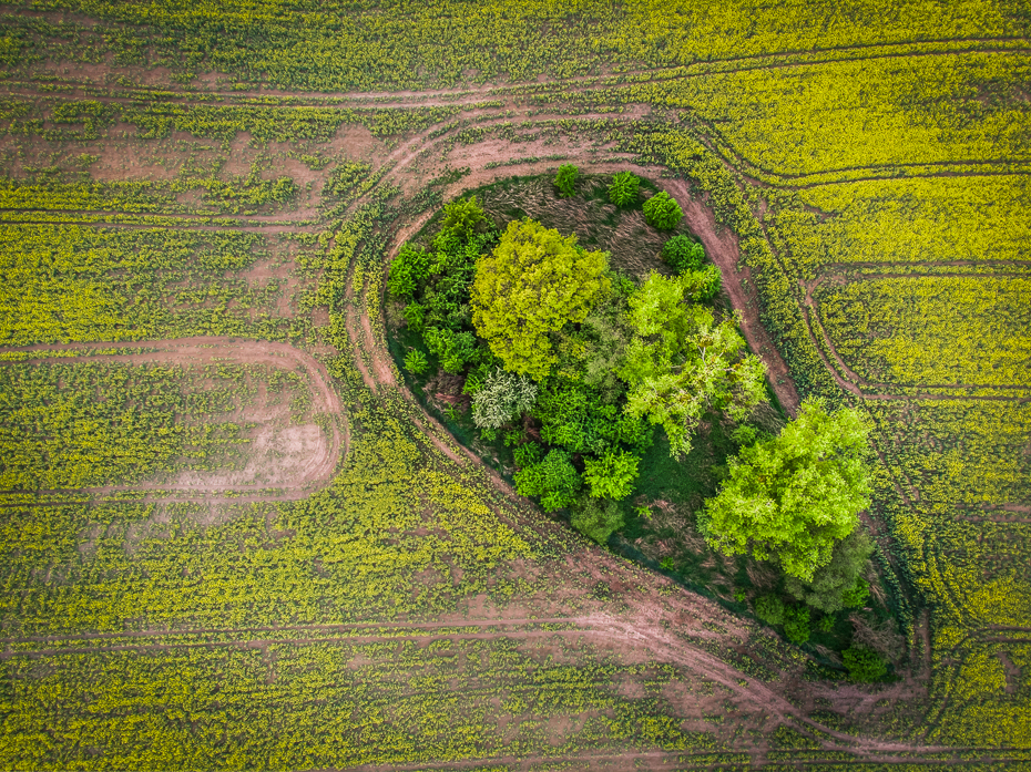  Polska Krajobraz Mavic Air Natura pole wegetacja rolnictwo krajobraz trawa przyciąć obszar wiejski drzewo łąka