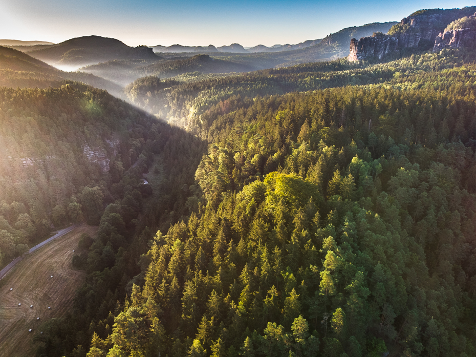  Saska Szwajcaria Krajobraz Mavic Air Natura pustynia liść drzewo wzgórze skarpa niebo Góra ranek Park Narodowy