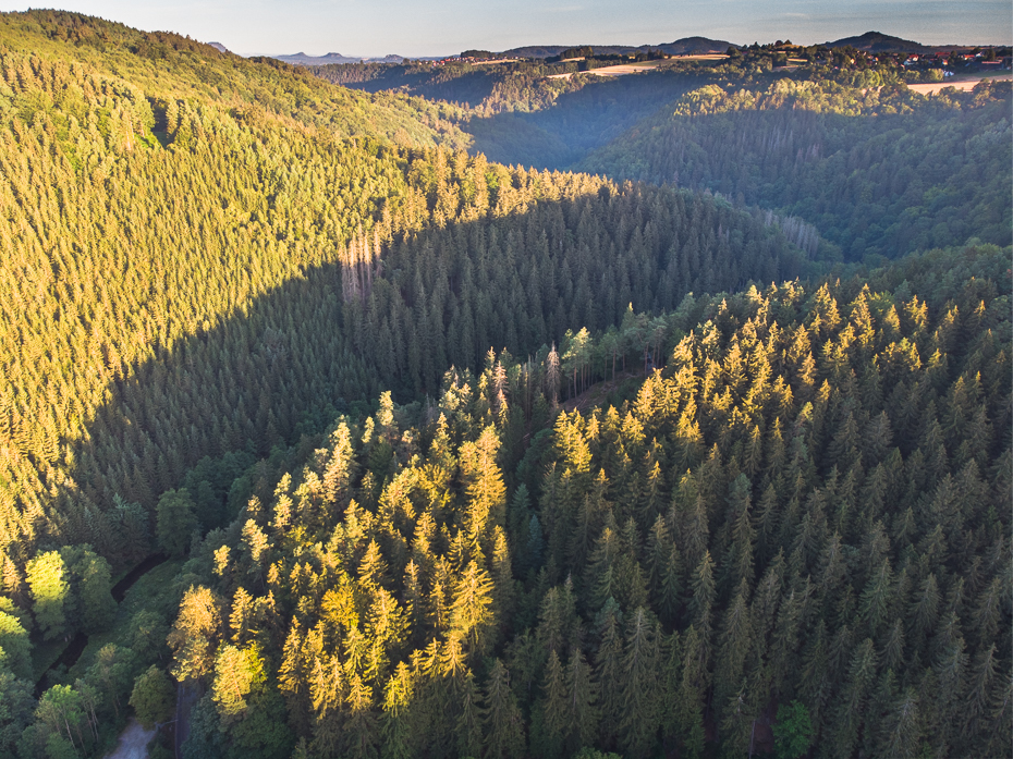  Saska Szwajcaria Krajobraz Mavic Air ekosystem Natura pustynia wegetacja drzewo liść umiarkowane liściaste i mieszane Góra las Park Narodowy