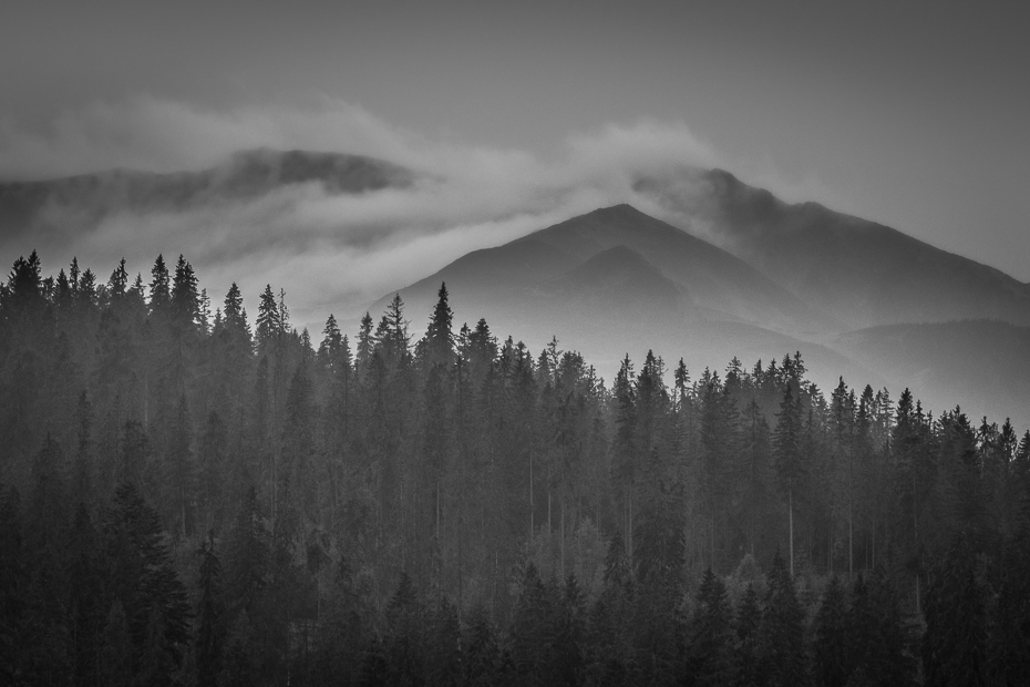  Tatry Nikon D7200 Nikkor AF-S 70-200 f/4.0G niebo czarny czarny i biały Natura drzewo fotografia monochromatyczna mgła atmosfera Chmura roślina drzewiasta