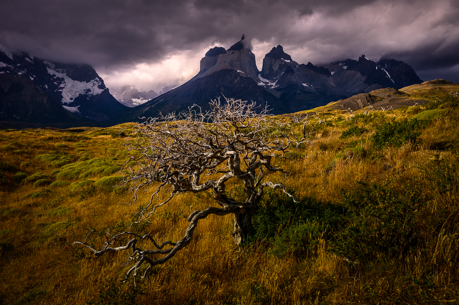  Torres del Paine Chile Nikon Nikkor 24-70mm f/4 0 Patagonia górzyste formy terenu Góra Naturalny krajobraz Natura średniogórze niebo pustynia pasmo górskie wegetacja drzewo
