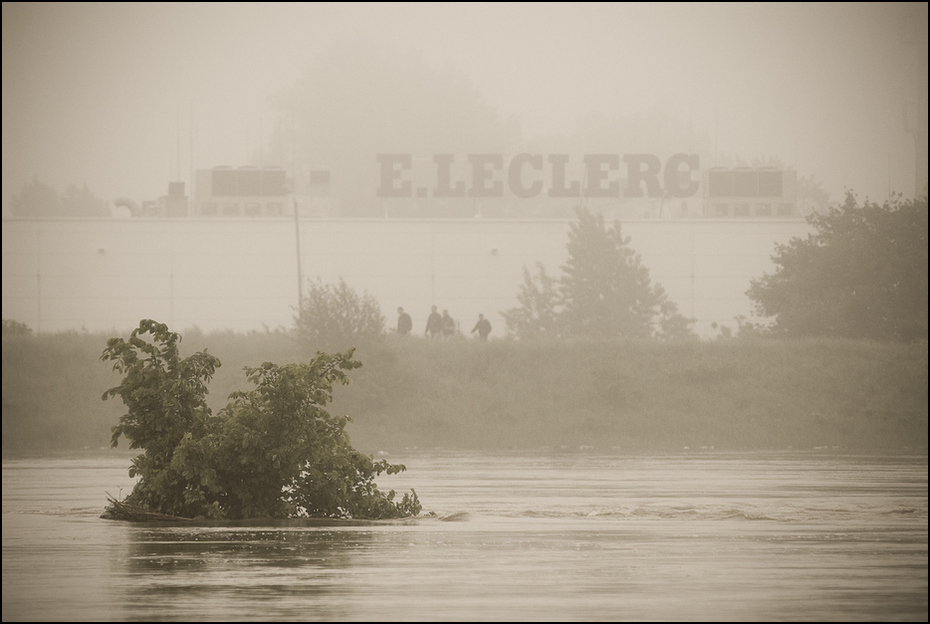  Supermarket wodzie Powódź 0 Wrocław Nikon D200 Zoom-Nikkor 80-200mm f/2.8D mgła zamglenie woda czarny i biały drzewo ranek atmosfera odbicie niebo