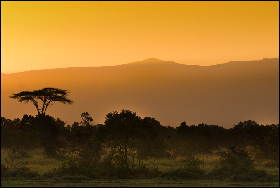  Mount Kenya Krajobraz Nikon D200 AF-S Nikkor 70-200mm f/2.8G Kenia 0 sawanna ekosystem niebo świt łąka wschód słońca ranek Równina ecoregion Park Narodowy