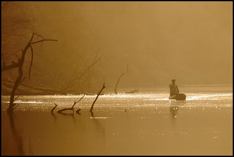  Rzeka Gambia Krajobraz Nikon D200 Sigma APO 50-500mm f/4-6.3 HSM Senegal 0 woda morze niebo spokojna Wybrzeże atmosfera horyzont ranek drewno Dzieła wizualne