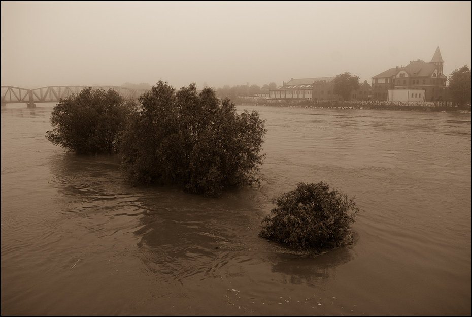  Widok mostów warszawskich Powódź 0 Wrocław Nikon D200 AF-S Zoom-Nikkor 17-55mm f/2.8G IF-ED woda rzeka zbiornik wodny arteria wodna Bank drzewo odbicie niebo mokradło ranek