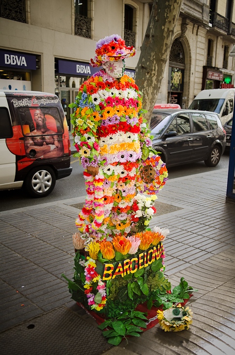  Artysta uliczny Barcelona Nikon D7000 AF-S Zoom-Nikkor 17-55mm f/2.8G IF-ED Hiszpania 0 kwiat roślina florystyka ulica układanie kwiatów kwiatowy wzór