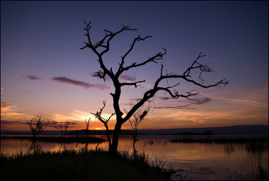  Jezioro Baringo rankiem Krajobraz Nikon D200 AF-S Zoom-Nikkor 17-55mm f/2.8G IF-ED Kenia 0 niebo Natura odbicie drzewo woda horyzont zachód słońca roślina drzewiasta świt wschód słońca