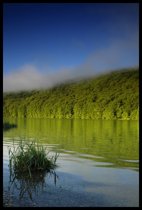 Zalew myczkowiecki rano Krajobraz Nikon D200 Micro-Nikkor 60mm f/2.8D odbicie woda Natura niebo Zielony jezioro pustynia drzewo zbiornik