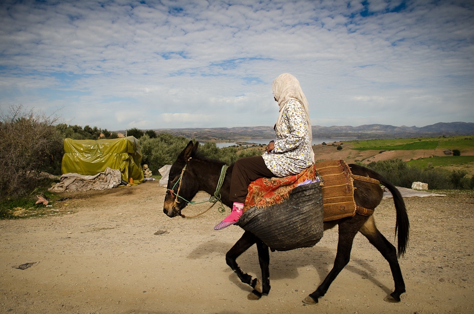  Jazda ośle Maroko Nikon D7000 AF-S Zoom-Nikkor 17-55mm f/2.8G IF-ED Budapeszt Bamako 0 koń jak ssak juczne zwierzę niebo piasek obszar wiejski koń osioł ecoregion żywy inwentarz krajobraz