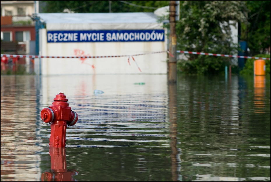 Ręczne mycie samochodów Powódź 0 Wrocław Nikon D200 Zoom-Nikkor 80-200mm f/2.8D woda odbicie powódź katastrofa wolny czas rekreacja rzeka klęska żywiołowa zasoby wodne drzewo