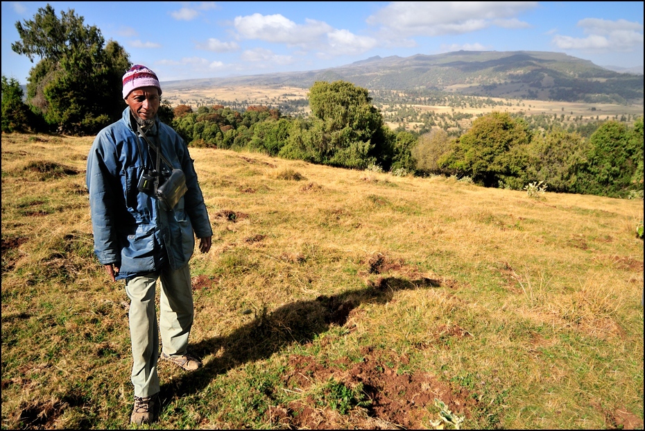  Przewodnik Ludzie Nikon D300 Sigma 15-30mm f/3.5-4.5 Aspherical Etiopia 0 pustynia drzewo górzyste formy terenu ekosystem wzgórze grzbiet łąka ścieżka roślina trawa