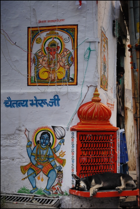 Ganesha, Krishna pies Ulice Nikon D200 AF-S Zoom-Nikkor 17-55mm f/2.8G IF-ED Indie 0 sztuka Ściana fresk plakat okno Sztuka uliczna obraz religia grafika budynek