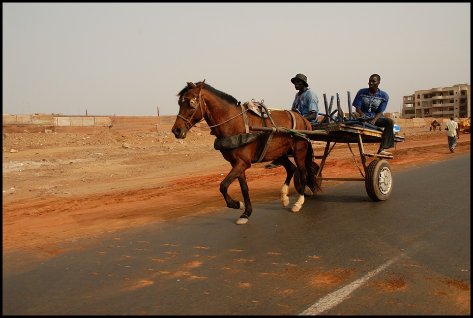  Dwukółka Dakar Nikon D200 AF-S Zoom-Nikkor 18-70mm f/3.5-4.5G IF-ED Senegal 0 uprząż konia koń rydwan rodzaj transportu koń jak ssak wózek niebo juczne zwierzę koń i buggy pojazd