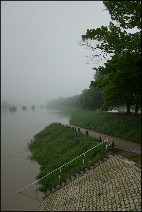  Widok mostów warszawskich Powódź 0 Wrocław Nikon D200 AF-S Zoom-Nikkor 17-55mm f/2.8G IF-ED Zielony zamglenie mgła drzewo ranek stacja na wzgorzu woda liść Bank rzeka