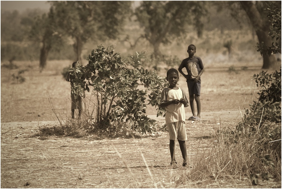  Wiejskie dzieci Ludzie Nikon D200 Sigma APO 50-500mm f/4-6.3 HSM Senegal 0 fotografia drzewo migawka roślina na stojąco czarny i biały trawa dziewczyna obszar wiejski