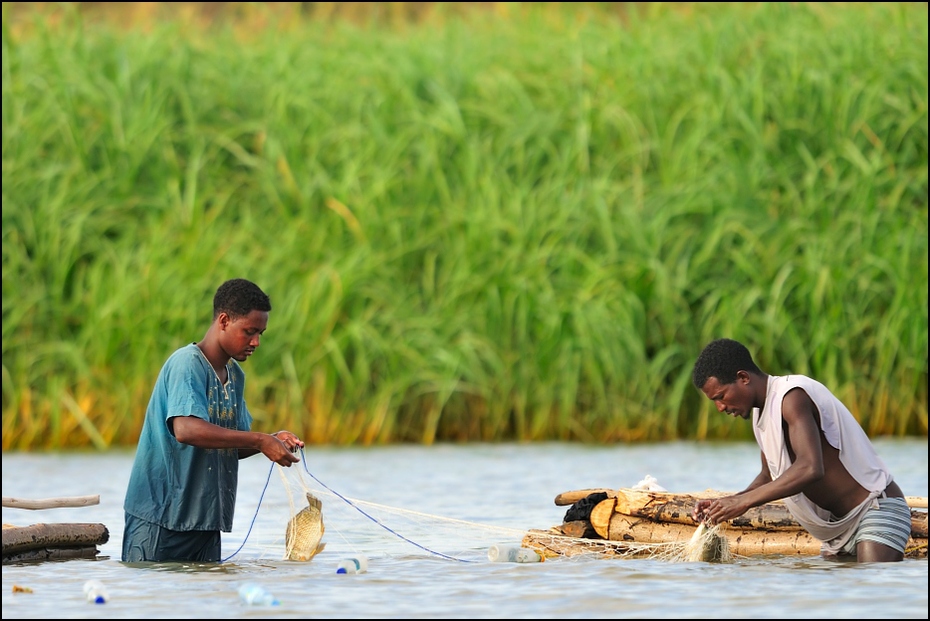 Rybacy jeziorze Chamo Ludzie Nikon D300 Sigma APO 500mm f/4.5 DG/HSM Etiopia 0 woda roślina trawa wolny czas zasoby wodne rolnictwo drzewo rodzina traw rekreacja przyciąć