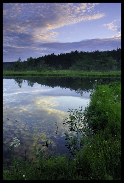  Kaszuby Krajobraz kaszuby jezioro pejzaż Nikon D70 AF-S Zoom-Nikkor 18-70mm f/3.5-4.5G IF-ED odbicie woda Natura niebo mokradło rezerwat przyrody zbiornik Bank