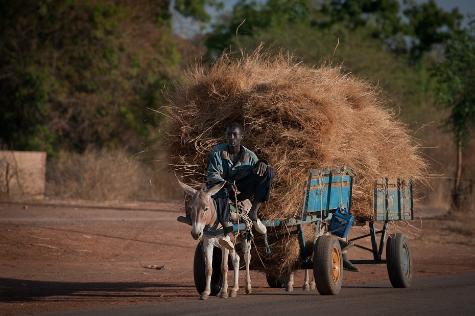  Transport siana Mali Nikon D300 AF-S Nikkor 70-200mm f/2.8G Budapeszt Bamako 0 drzewo roślina niebo pojazd rodzina traw gleba trawa