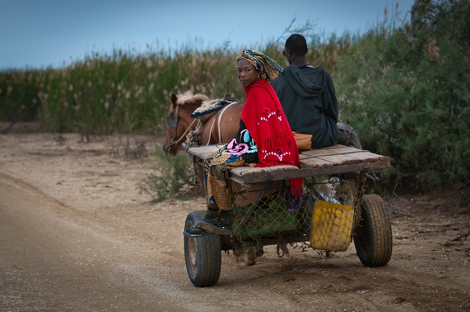  Dwukółka Mauretania Nikon D300 AF-S Nikkor 70-200mm f/2.8G Budapeszt Bamako 0 pojazd lądowy samochód pojazd rodzaj transportu gleba poza trasami obszar wiejski piasek wózek krajobraz