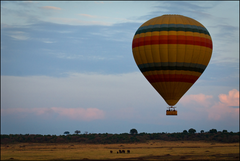  Balon słonie Nikon D200 AF-S Nikkor 70-200mm f/2.8G Kenia 0 latanie balonem balon na gorące powietrze niebo dzień Chmura atmosfera ziemi ranek atmosfera krajobraz Równina