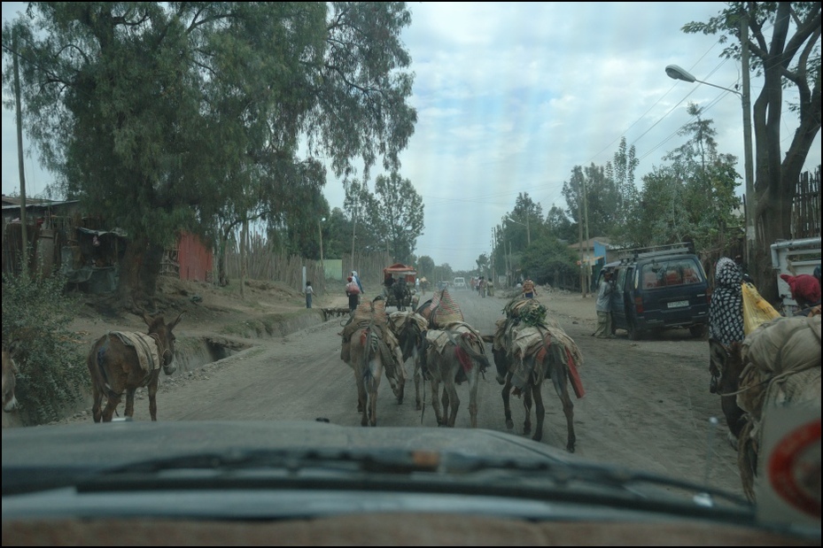  drodze drugiej strony obiektywu Nikon D70 AF-S Zoom-Nikkor 18-70mm f/3.5-4.5G IF-ED Etiopia 0 rodzaj transportu pojazd juczne zwierzę drzewo Droga zrzut ekranu wioska roślina krajobraz