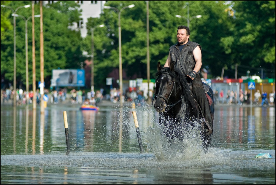 Konno przez powódź Powódź 0 Wrocław Nikon D200 Zoom-Nikkor 80-200mm f/2.8D woda kręgowiec drzewo koń koń jak ssak funkcja wody rekreacja Jeździectwo roślina hobby