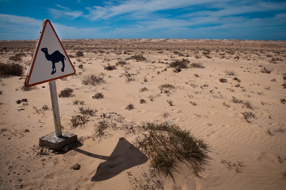  Przejście dla wielbłądów Sahara Zachodnia Nikon D300 AF-S Zoom-Nikkor 17-55mm f/2.8G IF-ED Budapeszt Bamako 0 piasek niebo erg pustynia eoliczny krajobraz sahara krajobraz wakacje Chmura ecoregion