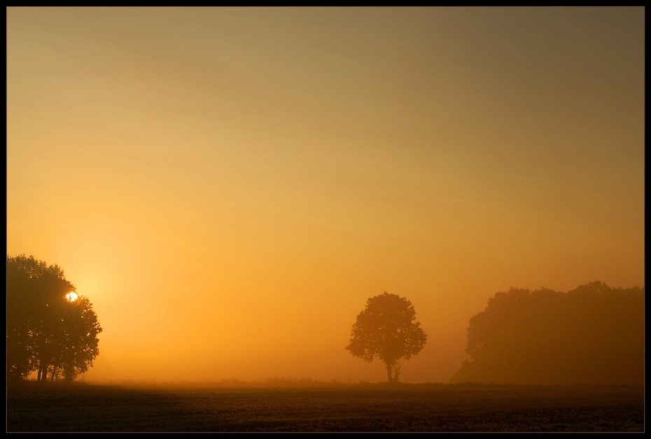 Poranek Krajobraz Nikon D200 AF-S Zoom-Nikkor 18-70mm f/3.5-4.5G IF-ED niebo wschód słońca świt ranek horyzont atmosfera słońce drzewo atmosfera ziemi zamglenie