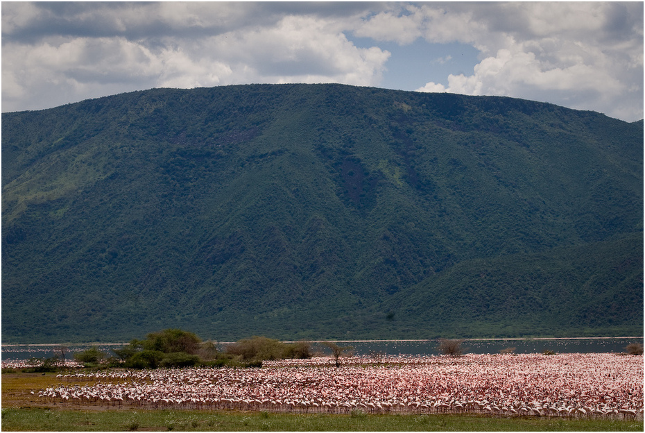  Flamingi jeziorze Bogoria Krajobraz Nikon D200 AF-S Nikkor 70-200mm f/2.8G Kenia 0 średniogórze niebo wzgórze łąka Chmura pole Góra obszar wiejski spadł Równina