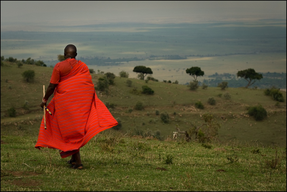  Masaj Ludzie Nikon D200 AF-S Nikkor 70-200mm f/2.8G Kenia 0 czerwony niebo łąka pole trawa ranek drzewo obszar wiejski roślina krajobraz